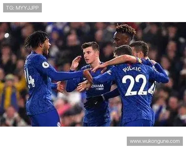 切尔西引援看似豪赌，实则试错不断，赛季表现稳定性面临考验