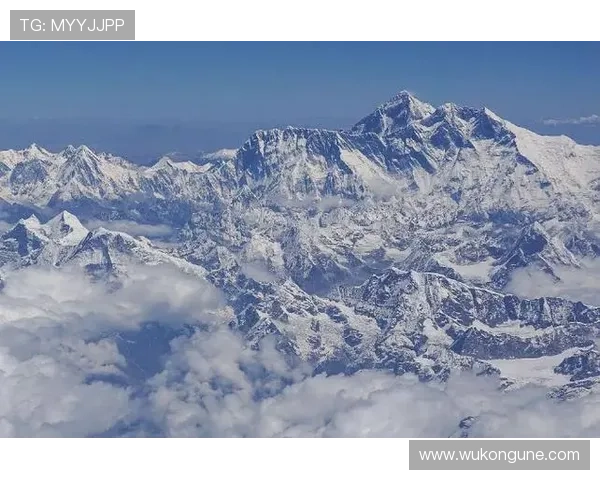 无球跑动拉开外线，特伦特比上季更致命